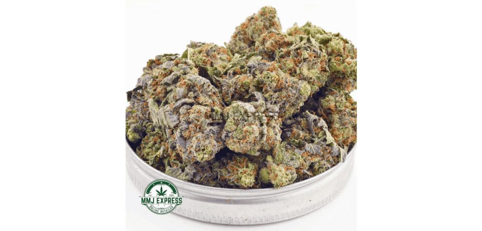 This is another popular cannabis strain you should consider giving a shot. White Widow is the descendant of a cross between South American sativa and South Indian indica plants. 