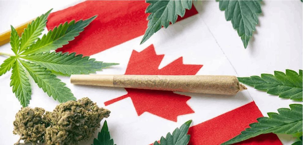 The journey of recreational cannabis legalization in Canada is a testament to the power of social change and evidence-based policymaking. 