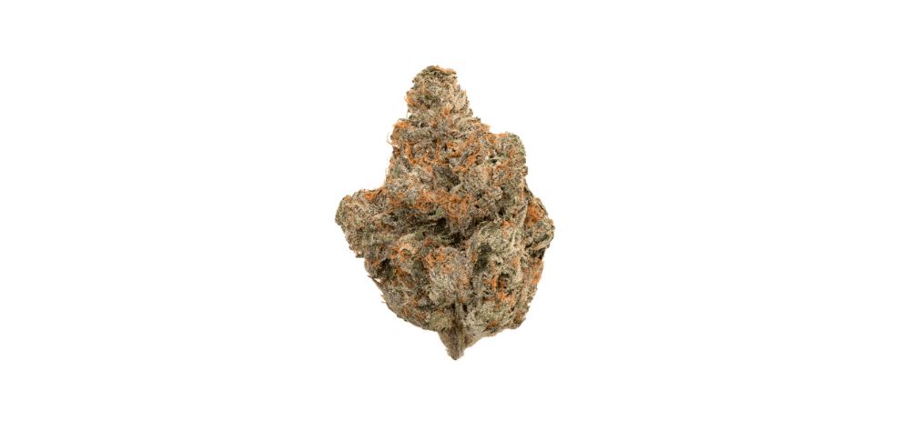 The Rockstar strain is a flavour bomb, with herbal, skunky, sweet and spicy notes lingering on your tongue. 