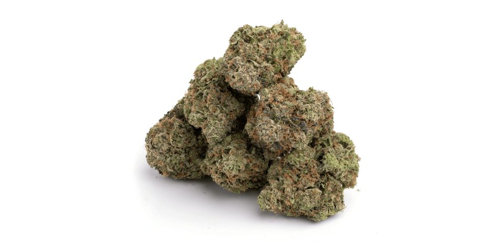 The Cali Bubba weed strain has one of the most distinctive flavour profiles you'll try - even stoners with refined taste palates say it's OUT OF THIS WORLD.