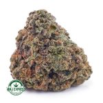 Buy Cannabis Superglue AA at MMJ Express Online Shop