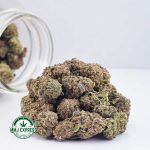 Buy Cannabis Superglue AA at MMJ Express Online Shop