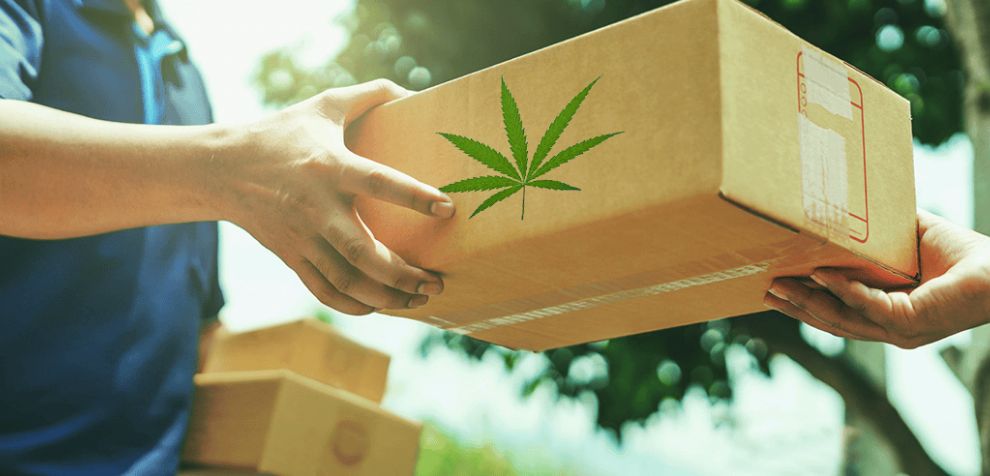 If you're new to this service or simply want a refresher on how to ensure a seamless transaction, here’s a detailed breakdown tailored for those keen on procuring the best BC weed delivery.