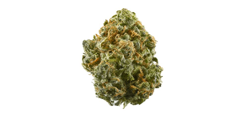 To grasp the wonder of strain Blue Dream, let's explore its fascinating origin and genetic makeup. 