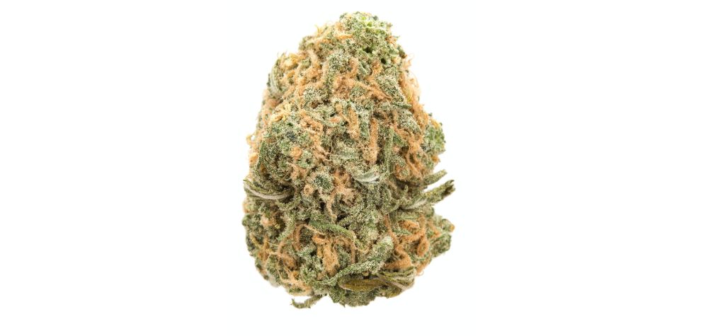 Strain Blue Dream's terpene profile is a key contributor to its distinctive aroma, flavour, and effects. 