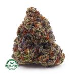 Buy Cannabis Platinum Kush AA at MMJ Express Online Shop