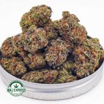 Buy Cannabis Platinum Kush AA at MMJ Express Online Shop