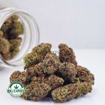 Buy Cannabis Platinum Kush AA at MMJ Express Online Shop