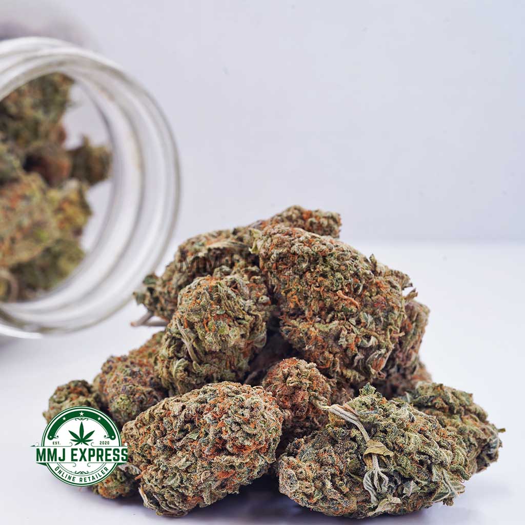 Buy Cannabis Nuken AA at MMJ Express Online Shop