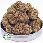 Buy Cannabis Strawberry Cheesecake AA at MMJ Express Online Shop