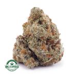 Buy Cannabis Pineapple Gelato AAAA+, Craft at MMJ Express Online Shop