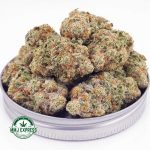 Buy Cannabis Pineapple Gelato AAAA+, Craft at MMJ Express Online Shop