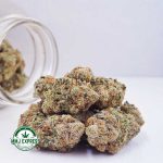 Buy Cannabis Pineapple Gelato AAAA+, Craft at MMJ Express Online Shop