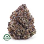 Buy Cannabis Pink Berry AAAA+, Craft at MMJ Express Online Shop