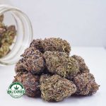 Buy Cannabis Pink Berry AAAA+, Craft at MMJ Express Online Shop