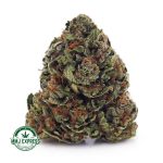 Buy Cannabis LA Kush Cake AA at MMJ Express Online Shop