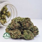 Buy Cannabis LA Kush Cake AA at MMJ Express Online Shop