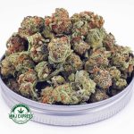 Buy Cannabis Rainbow Chip AAAA (Popcorn Nugs) at MMJ Express Online Shop