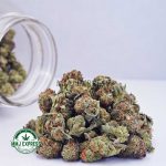 Buy Cannabis Rainbow Chip AAAA (Popcorn Nugs) at MMJ Express Online Shop