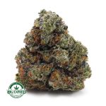 Buy Cannabis Purple Gas AAA at MMJ Express Online Shop