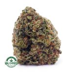 Buy Cannabis Sour Tangie AA at MMJ Express Online Shop