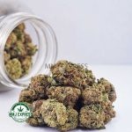 Buy Cannabis Sour Tangie AA at MMJ Express Online Shop