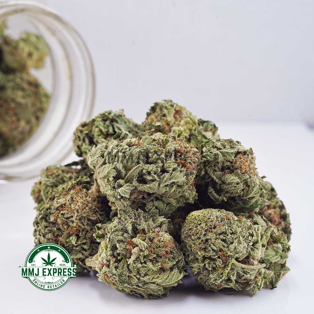 Buy Cannabis Mataro Blue AA at MMJ Express Online Shop
