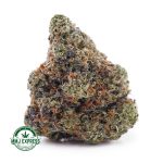 Buy Cannabis Pre-98 Bubba Kush AAAA at MMJ Express Online Shop