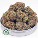 Buy Cannabis Gelato Cake AAA at MMJ Express Online Shop
