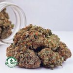 Buy Cannabis Strawberry Banana Kush AA at MMJ Express Online Shop