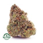 Buy Cannabis Jet Fuel Gelato AAA at MMJ Express Online Shop