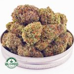 Buy Cannabis Jet Fuel Gelato AAA at MMJ Express Online Shop