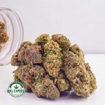 Buy Cannabis Jet Fuel Gelato AAA at MMJ Express Online Shop