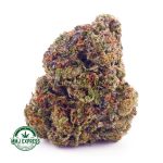 Buy Cannabis Mango Gelato AAA at MMJ Express Online Shop