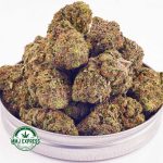 Buy Cannabis Mango Gelato AAA at MMJ Express Online Shop