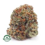 Buy Cannabis Grape Runtz AA at MMJ Express Online Shop