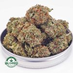 Buy Cannabis Grape Runtz AA at MMJ Express Online Shop