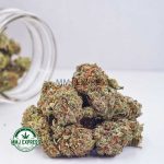 Buy Cannabis Grape Runtz AA at MMJ Express Online Shop