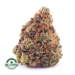 Buy Cannabis Pineapple Godbud AAA MMJ Express Online Shop