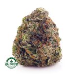 Buy Cannabis Incredible Hulk AAAA at MMJ Express Online Shop