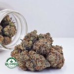 Buy Cannabis Birthday Cake Kush AAA at MMJ Express Online Shop