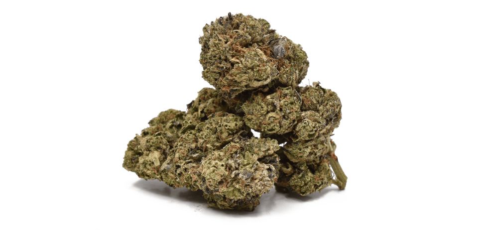 This high concentration positions Death Bubba strain among the stronger strains available, ensuring an intense experience for its users.