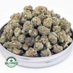 Buy Cannabis Sherbet Cookies AAAA (Popcorn Nugs) at MMJ Express Online Shop