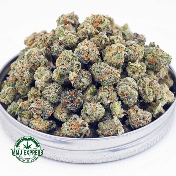 Buy Cannabis Sherbet Cookies AAAA (Popcorn Nugs) at MMJ Express Online Shop