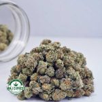 Buy Cannabis Sherbet Cookies AAAA (Popcorn Nugs) at MMJ Express Online Shop