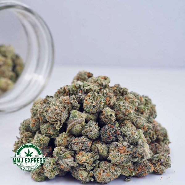 Buy Cannabis Sherbet Cookies AAAA (Popcorn Nugs) at MMJ Express Online Shop
