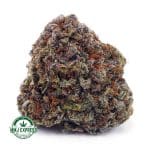 Buy Cannabis Purple Punch AAA at MMJ Express Online Shop