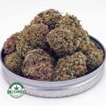 Buy Cannabis Purple Punch AAA at MMJ Express Online Shop