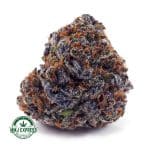 Buy Cannabis Superglue AA at MMJ Express Online Shop