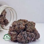 Buy Cannabis Superglue AA at MMJ Express Online Shop